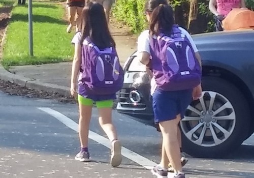 Girls Walk to School