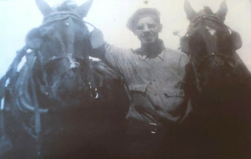 Dad's brother John standing between two workhorses on the family farm